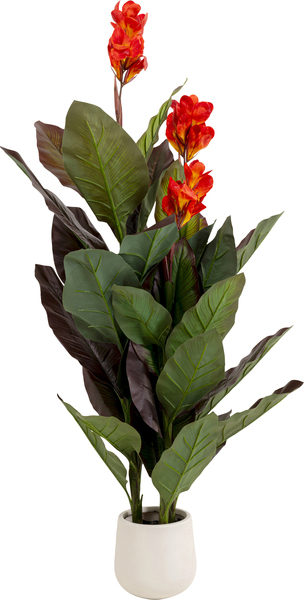 Deko Pflanze grün - 165 cm - KARE Canna Lily
