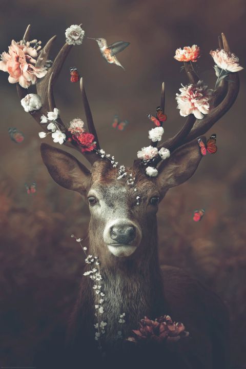 x billi Face | Reinders Wandbild Woman Gold & cm 90 60