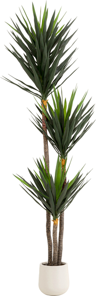 Deko Pflanze grün - 250 cm - KARE Yucca