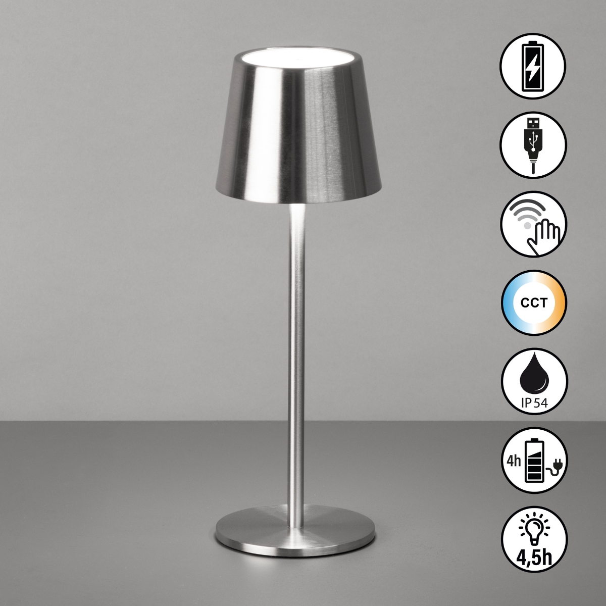 LED-Tisch/- und Außenleuchte Roxi nickel matt