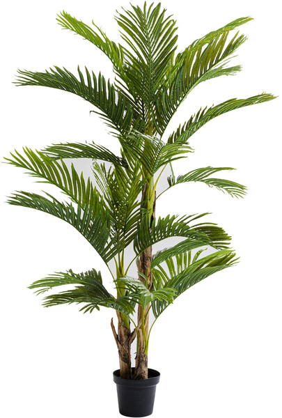Deko Pflanze grün - 190 cm - KARE Palm Tree